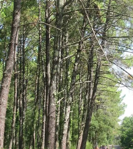 Σπίτι διακοπών Lou Parc *