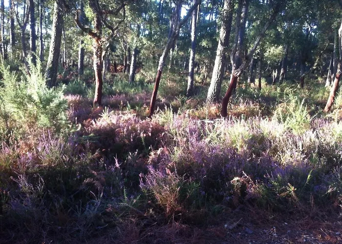 Σπίτι διακοπών Lou Parc Léon